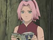 SakuraSaiBook