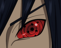 YoshiRSEye