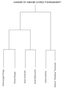 Shinobi World Tournament Brackets