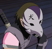 TGK Rango Experto.png