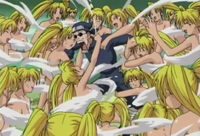 Haremtechnique.png