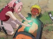 Sakuragyogyitas.jpg