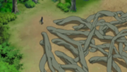 Zetsu Madera