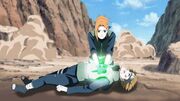 Sawaii and Ren