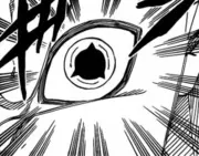 Shin 39 s Mangekyo