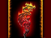 Dragon Fire
