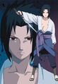 Thumbnail for version as of 16:41, June 8, 2012