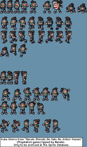 File:Iruka2.png