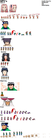 File:NPC1.png