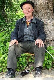 Shamilov