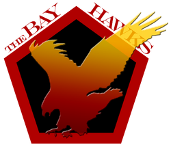 Bay Hawks