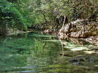 The creek