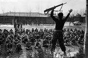 Guerilla