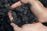 Coal-price