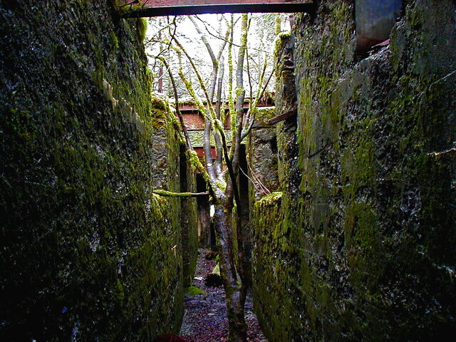 File:Ruins.jpg