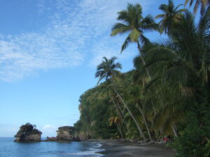 Cove