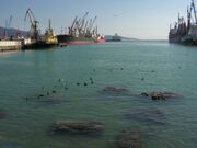 Nov Port