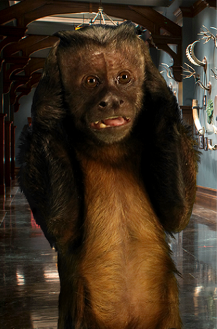 File:DexterNatm3.png