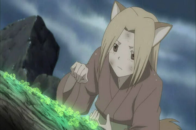 File:Fox-oborosou herbs.jpg