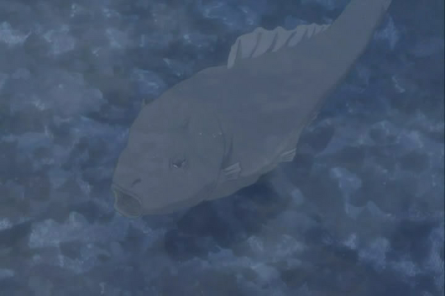 File:Carp blinking eyes.png