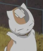 Zoku nyanko-bandage2