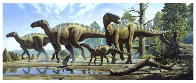 File:Herd.jpg