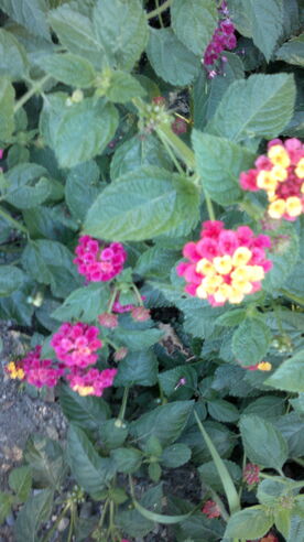 050920131736.jpg
