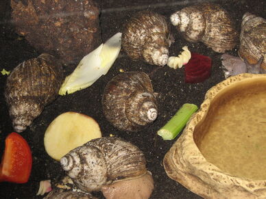 Bild 021