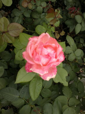 140920131939.jpg