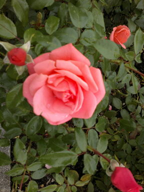 140920131924.jpg