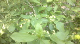 04062013813.jpg