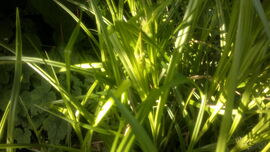 04062013834.jpg