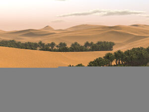 Desert