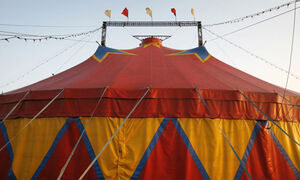 Circus460