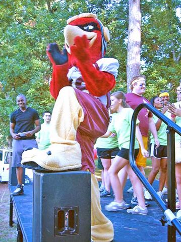 File:Ace the Warhawk 1.jpg