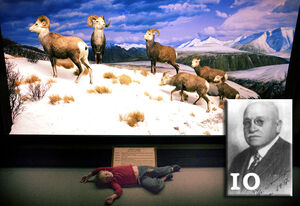 10-diorama.jpg
