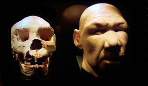 09-homo-antecessor