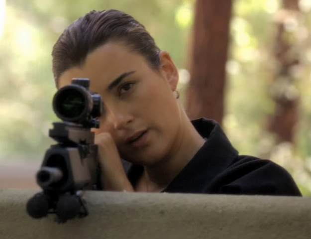 Datei:Ziva David 12.png