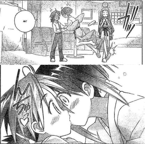 Datei:Gdsdgf.jpg