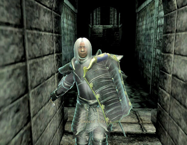 File:Paladin3.jpg
