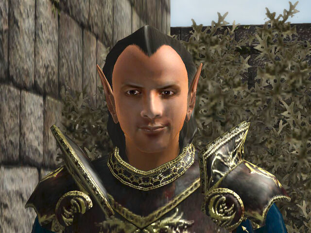 File:Guard Akarus.jpg