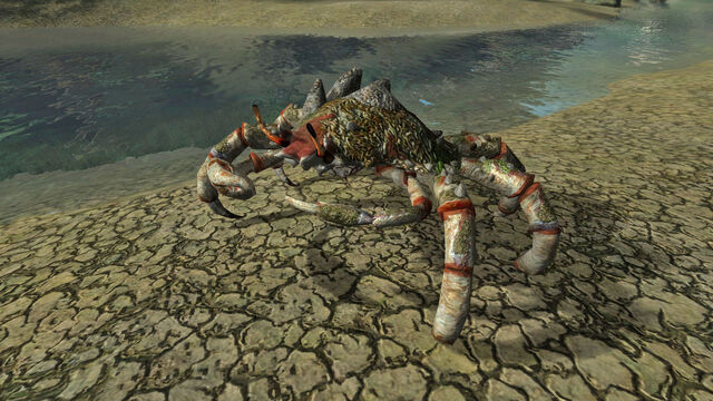 File:Armored River Crab.jpg
