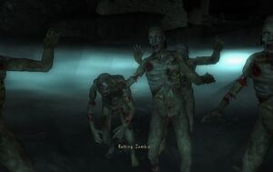 Rotting Zombies cr