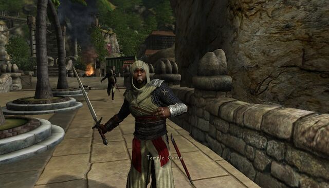 File:Tdmtemplarguard.jpg