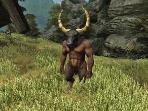 Minotaur