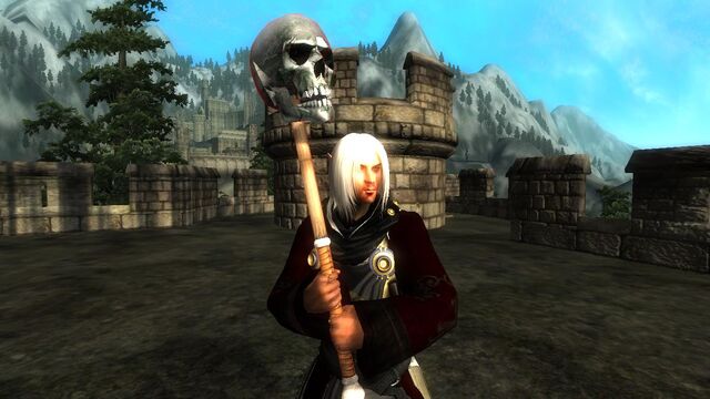 File:Oblivion 2010-12-02 23-30-49-19.jpg