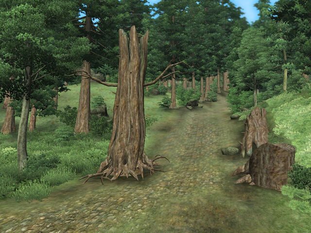 File:The Ghost Tree Outside.jpg