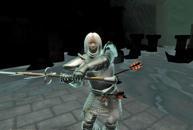 File:Paladin1.jpg