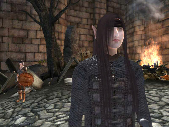 File:Aeterna Warrior.jpg