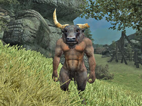 Minotaur02